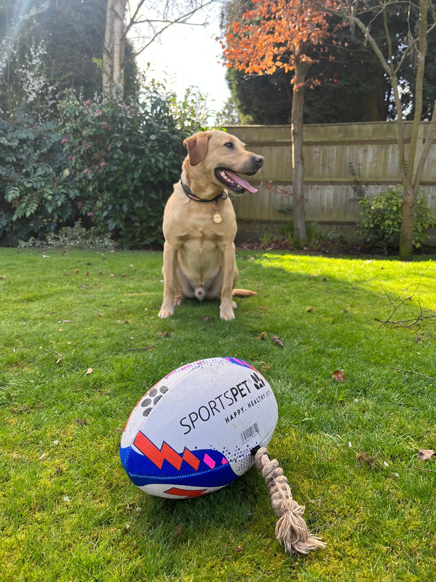 SPORTSPET Rugby Balls