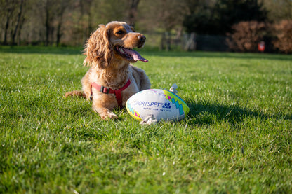 SPORTSPET Rugby Balls